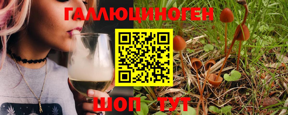 Саянск  где купить наркоту  Вход с VPN  Псилоцибиновые грибы Magic Shrooms 